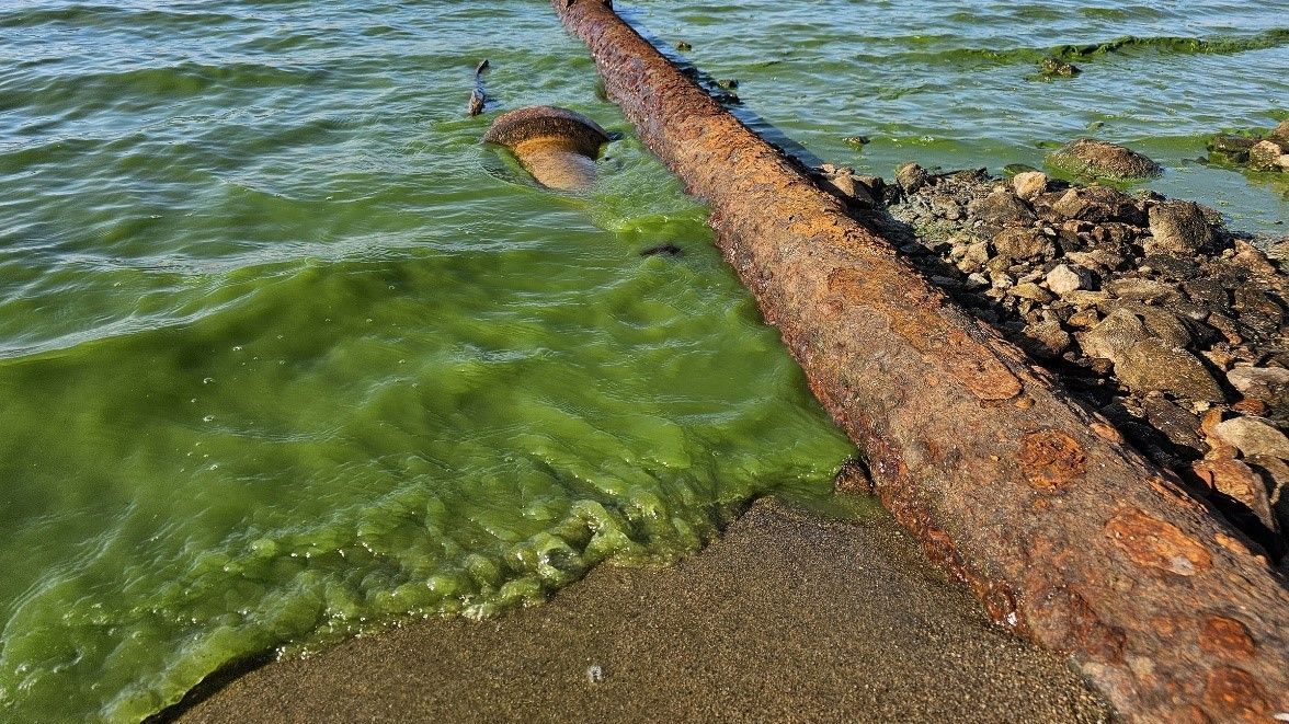 U břehu Lipna se povalují desítky odpadních rour. Vědci je při úbytku hladiny zmapovali